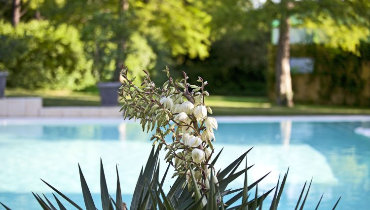 piscina con acqua salata